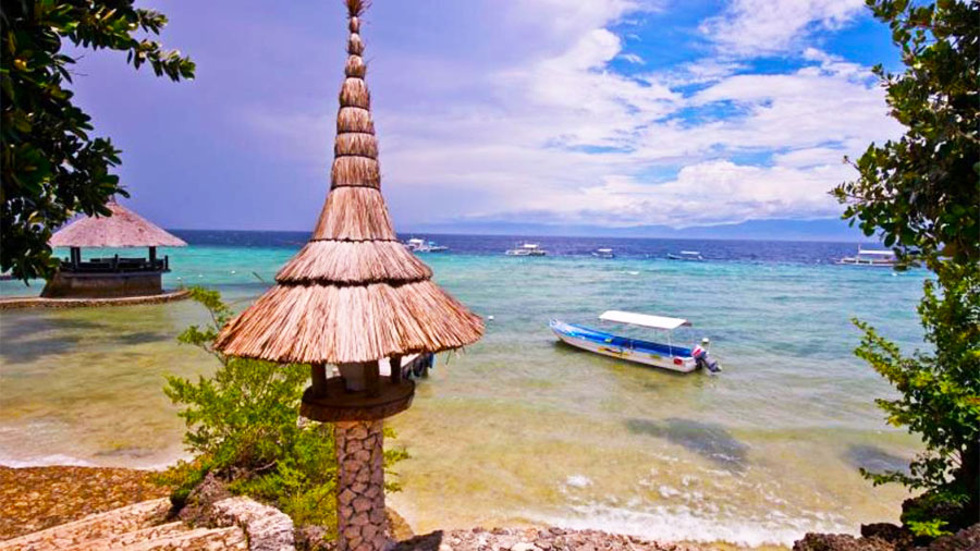 Dolphin House Resort SPA Diving Moalboal Cebu- Beach View