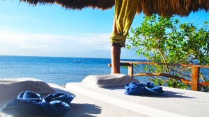 The Blue Orchid Resort Moalboal Cebu- Beach Spa